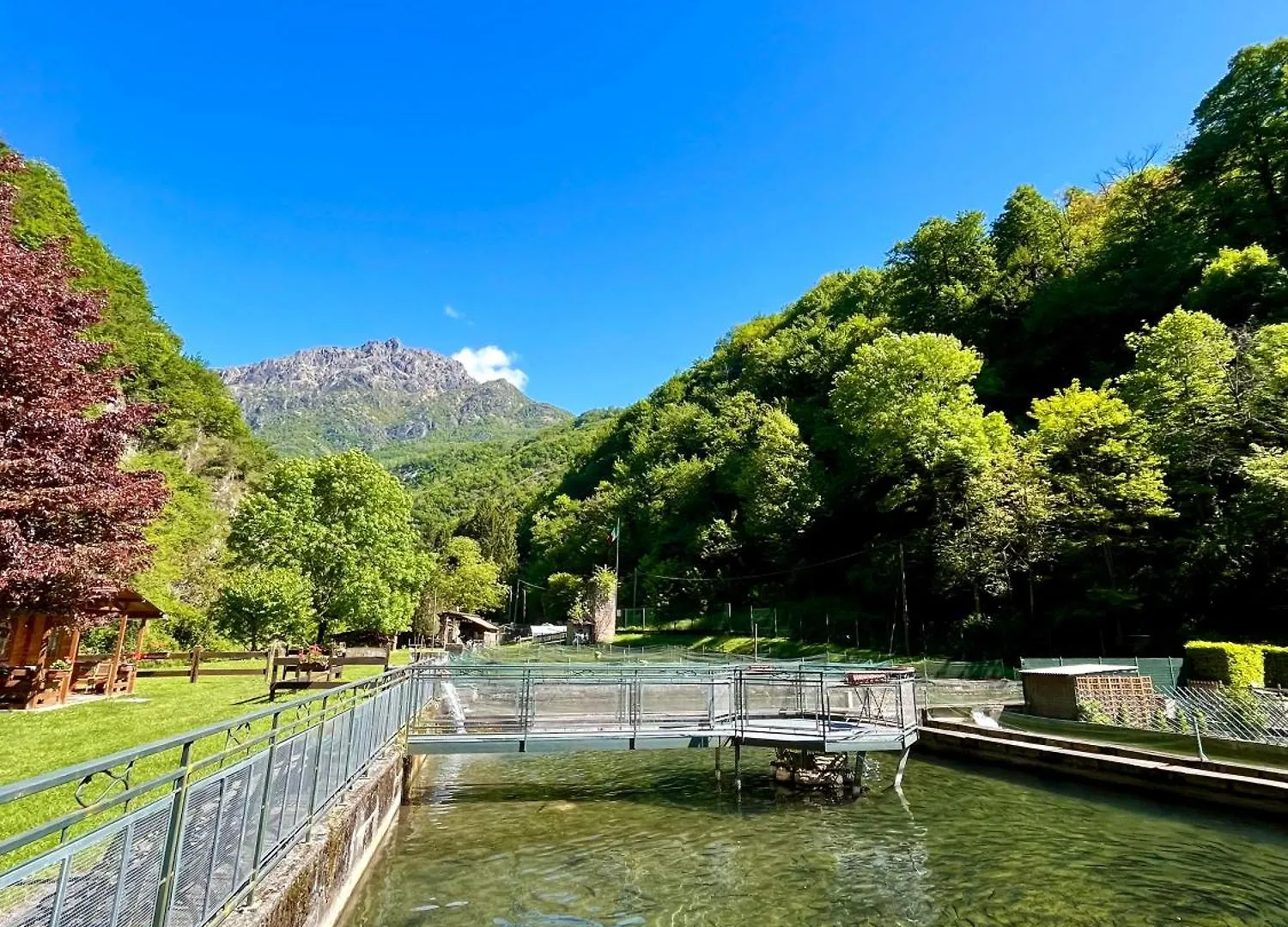 Agriturismo La Vecchia Chioderia Grandola ed Uniti 0*,