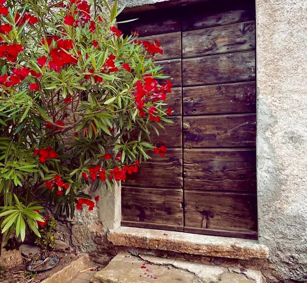 Vakantieboerderij Agriturismo La Vecchia Chioderia Grandola ed Uniti Italië