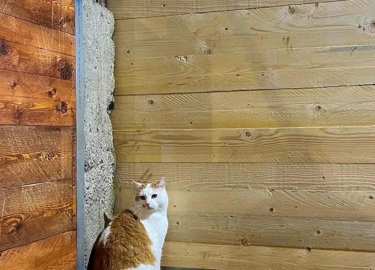 Vakantieboerderij Agriturismo La Vecchia Chioderia Grandola ed Uniti