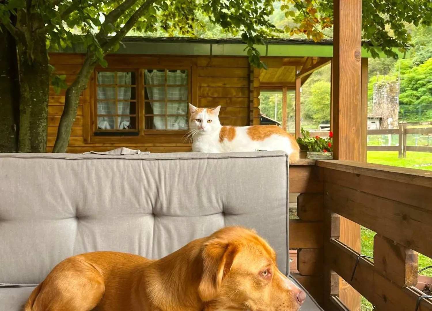 Agriturismo La Vecchia Chioderia Villa Grandola ed Uniti