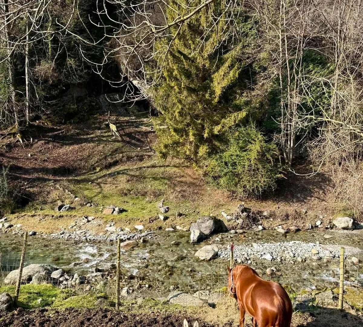 Agriturismo La Vecchia Chioderia Grandola ed Uniti Séjour à la ferme