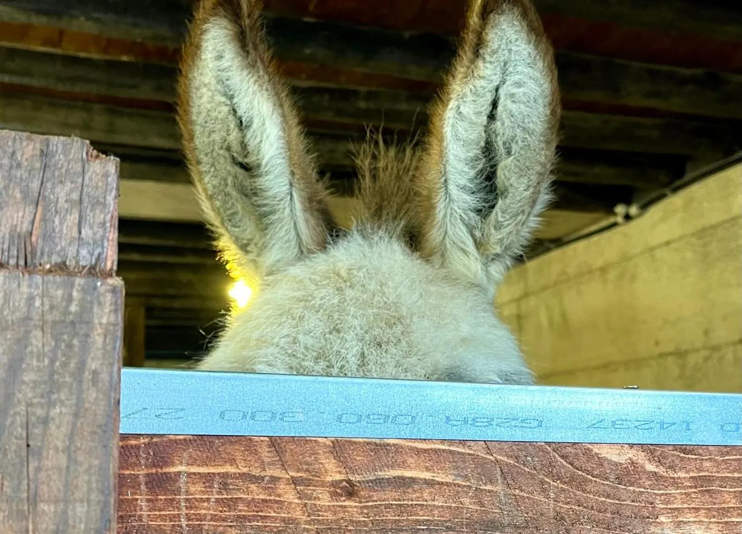 Agriturismo La Vecchia Chioderia Grandola ed Uniti Séjour à la ferme