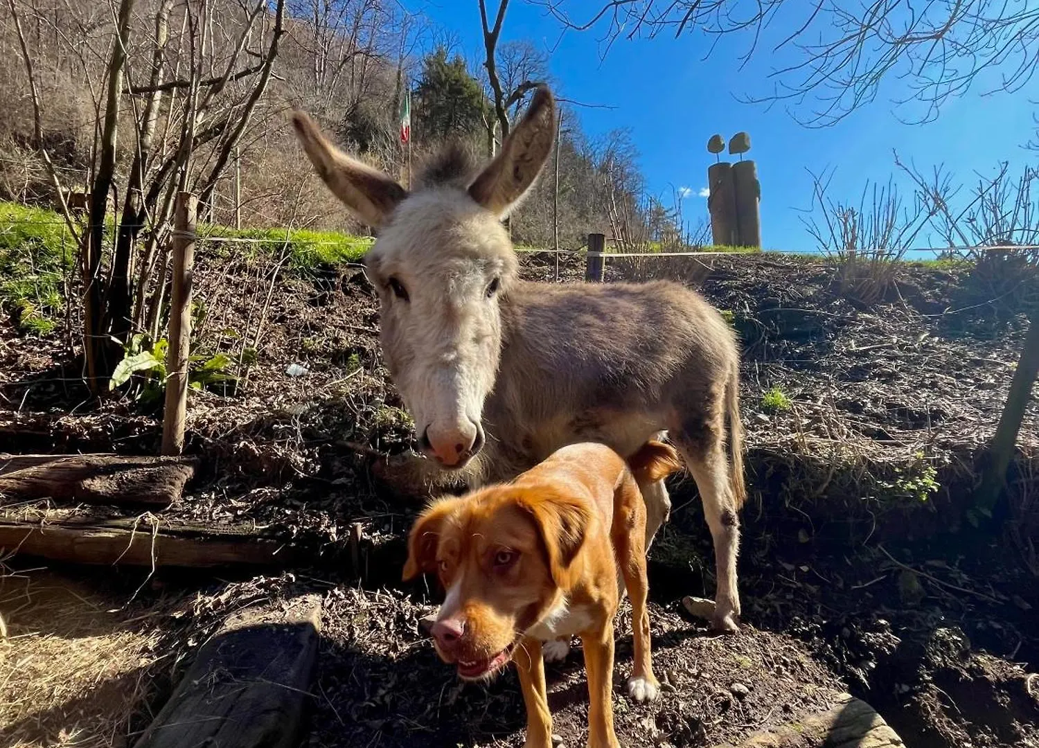 Agriturismo La Vecchia Chioderia Grandola ed Uniti 0*,  Italie