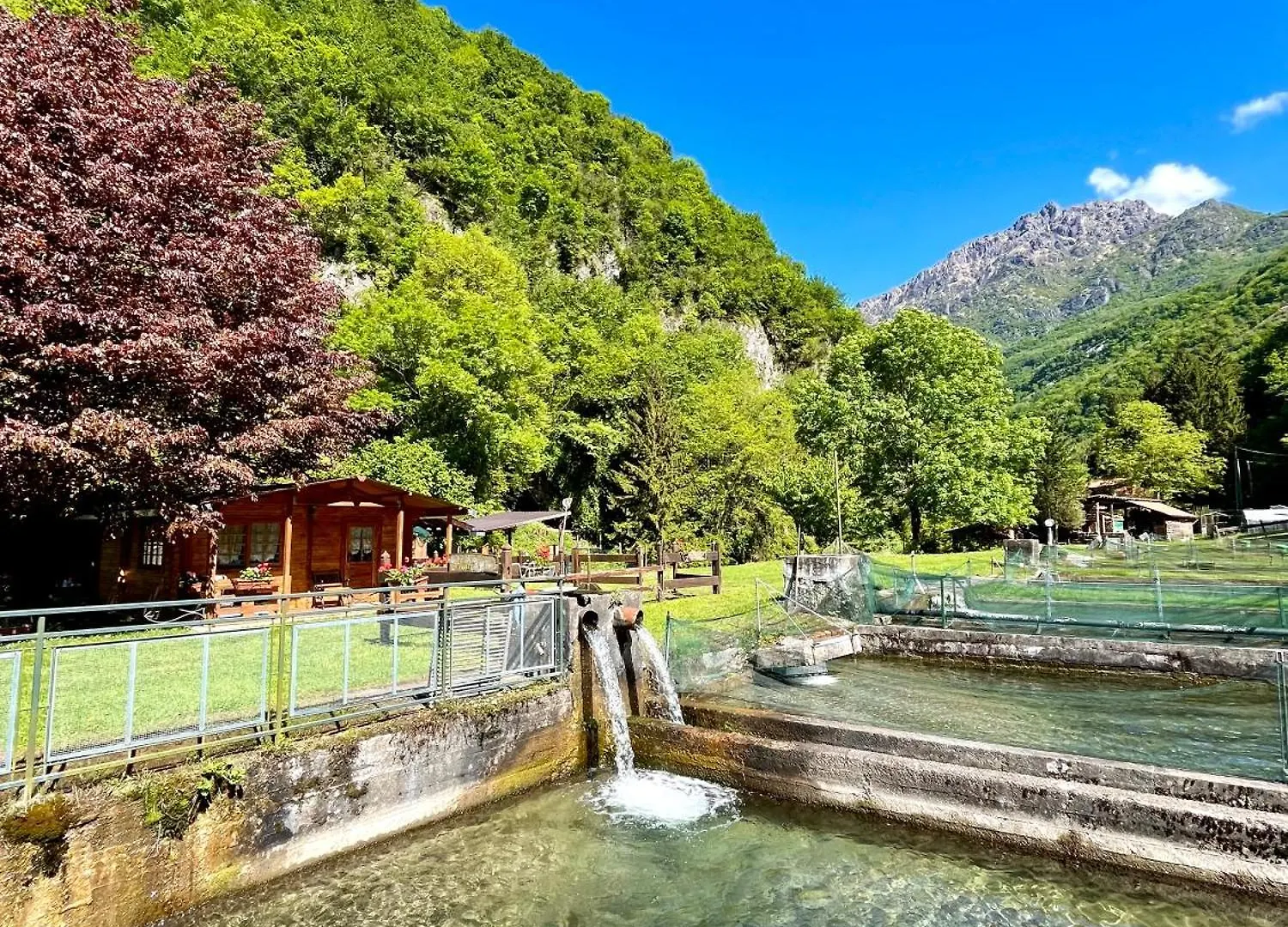 مزرعة للإقامة Agriturismo La Vecchia Chioderia Grandola ed Uniti